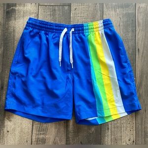 Men’s Chubbies The Brewsters 5.5” Swim Trunks
